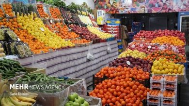 هر کیلو گرم خیار در کانال ۹۰ هزار تومان قرار گرفت