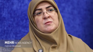 مهاجرانی: همکاری‌های اقتصادی با همسایگان در اولویت است