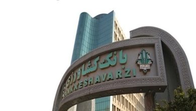 رشد ۷۰ درصدی تسهیلات پرداختی بانک کشاورزی برای خودکفایی گوشت قرمز