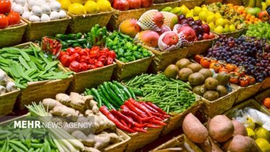 ابلاغ حذف عوارض آب مجازی از ۵ محصول آب‌بر کشاورزی