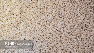 بازار برنج با توزیع محموله‌های وارداتی ساماندهی می‌شود