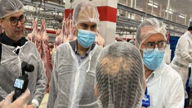 پیگیری تخصیص ارز برای واردات گوشت پیگیری تخصیص ارز برای واردات گوشت