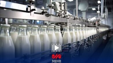 در بازرسی گشت تعزیرات از دو کارخانه بزرگ لبنی چه گذشت؟