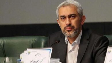 مدنی‌زاده: دریافت تسهیلات خرد از بانک‌ها تنها با سه کلیک