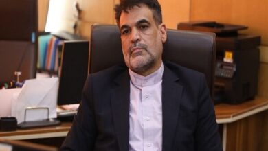 قیمت‌گذاری دستوری، خودرو را از کالای مصرفی به ابزار سوداگری تبدیل کرده