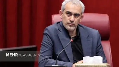 مدنی‌زاده: صنعت بیمه باید در بازسازی و نوسازی اقتصاد پیشرو باشد